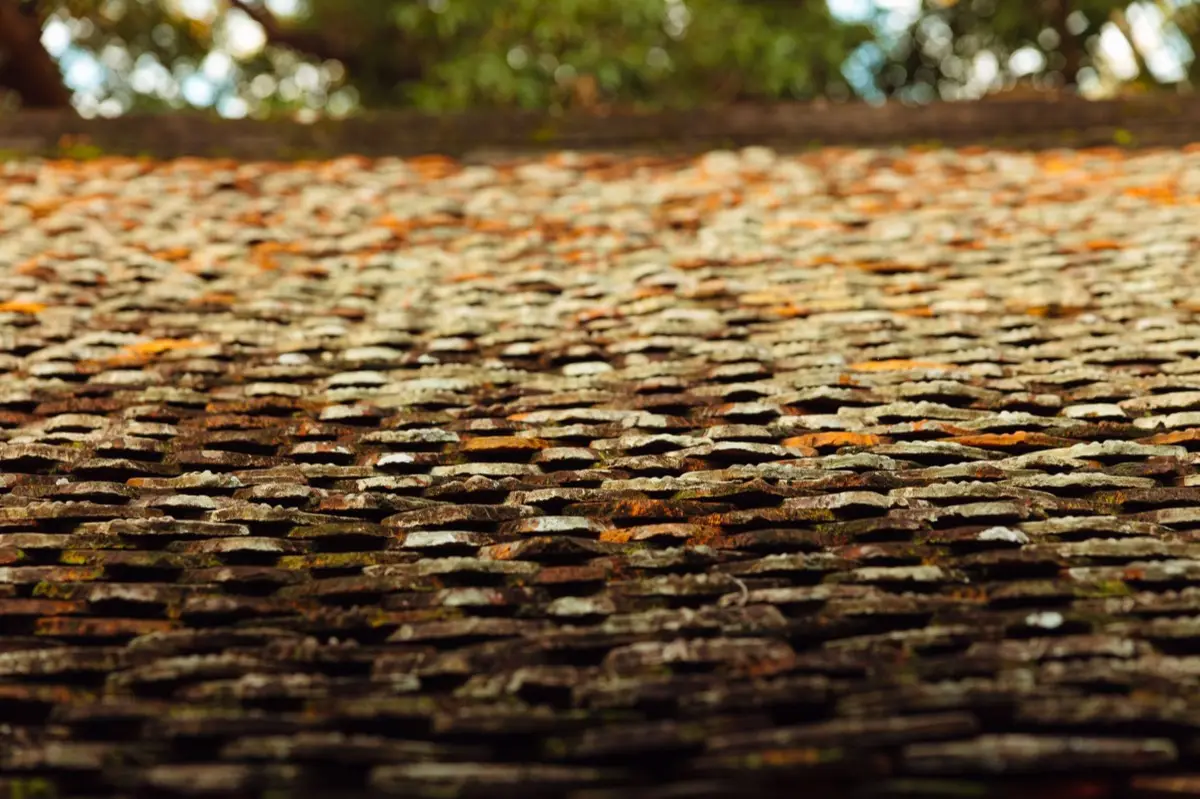 Aging shingle roof with moss growth and granule loss in Hollywood, FL